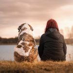 cane_amicizia_nature-3042751_1920