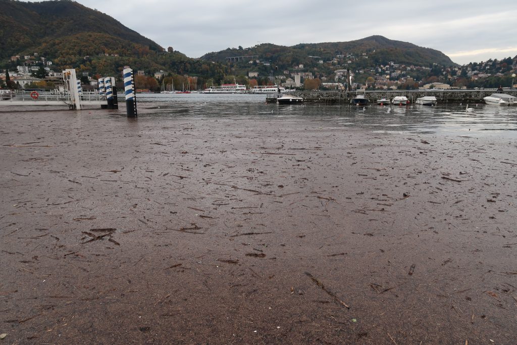 Como, lunedì 18 novembre 2019. Porto di Sant'Agostino: i detriti, accumulati dopo l'interminabile pioggia dei giorni precedenti. Fotografia © 2019 Silvio Riva.