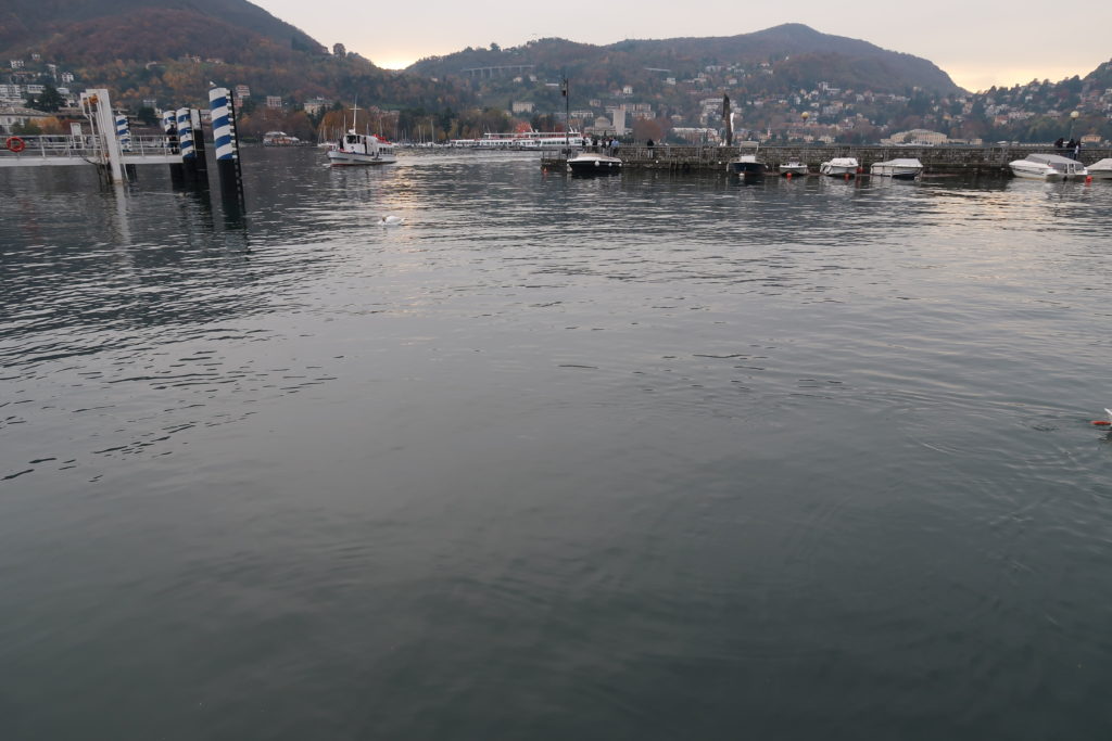 Como, martedì 26 novembre 2019. Porto di Sant'Agostino: il battello spazzino ha svolto il suo lavoro, l'acqua è più pulita. Fotografia © 2019 Silvio Riva.