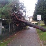 IMG-20191123-WA0005