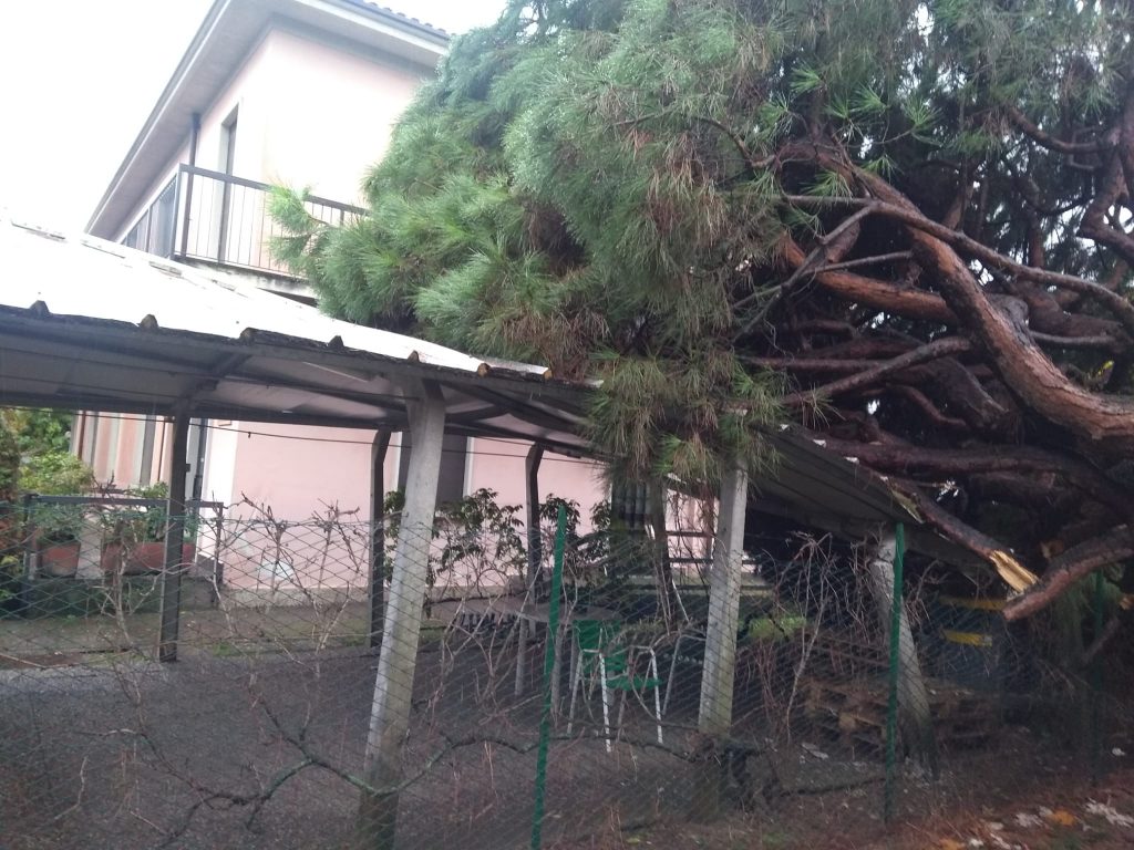 Fenegrò. Parco giochi, albero cade a causa del maltempo. Danni a struttura del centro Pensionati. Foto (c) Mario Raso.