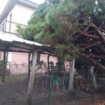 IMG-20191123-WA0006