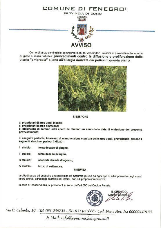 2021_07_03_avviso_contrasto_diffusione_ambrosia Avviso contenente disposizioni per il contrasto della diffusione dell'Ambrosia