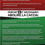 2021_07_10_volantino_caccia_retro
