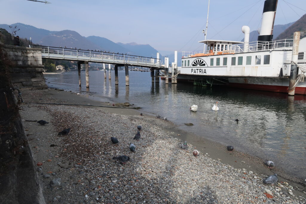 (Como, ormeggio di villa Olmo. Il piroscafo Patria. Fotografia © di Susanna Pagani).