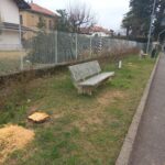 Taglio_piante_in_via_Como