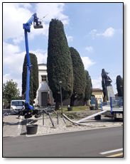 2022_05_22_foto_potatura_monumento_ai_caduti La potatura dei cipressi al Monumento ai Caduti, a cura del Gruppo Alpini di Fenegrò. Fotografia © Piero Franchi.