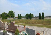 Posta: erba alta al cimitero di Fenegrò Erba alta al camposanto. Fotografia © Giancarlo Nicoli