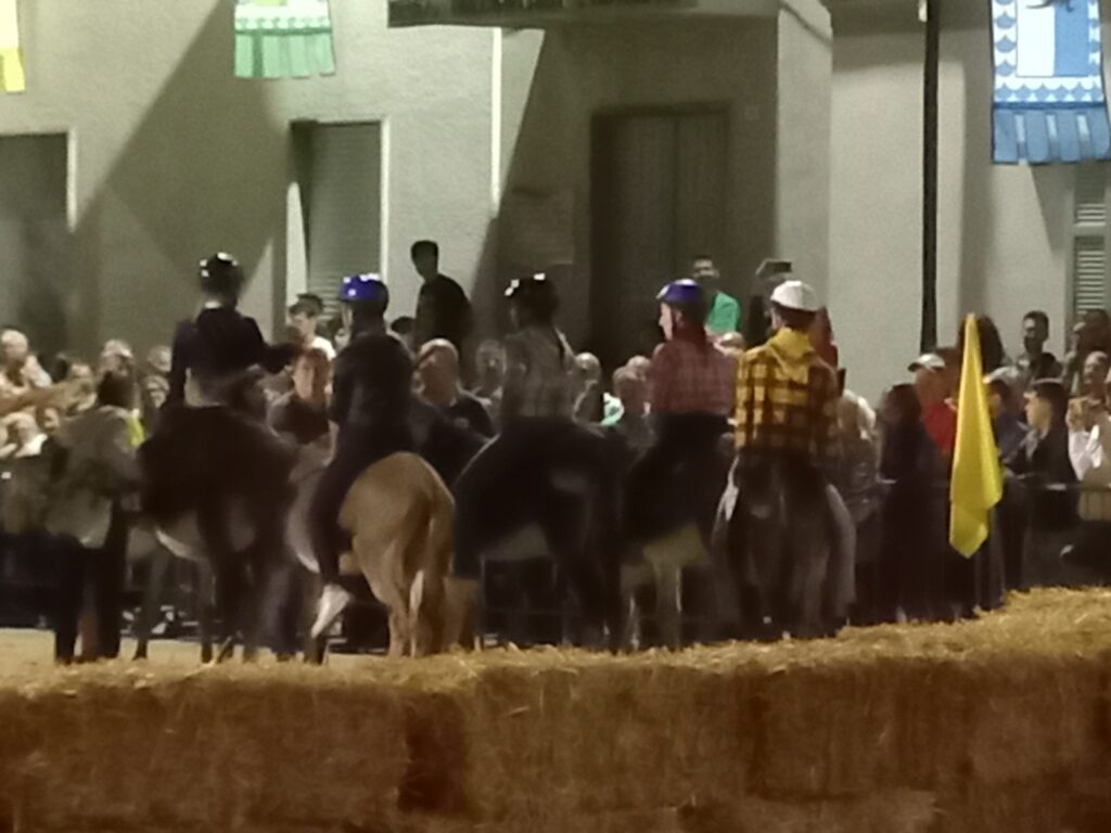 Palio di Fenegrò. "Corsa con gli asini". Pronti alla partenza.